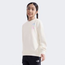 北面童装儿童男女印花长袖休闲卫衣户外新款TheNorthFace|8DCM