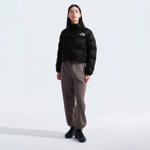 北面ICON女Nuptse短款鹅绒羽绒服防泼溅冬季新款TheNorthFace|5GGE
